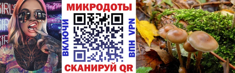 Галлюциногенные грибы GOLDEN TEACHER  Купить где  Сясьстрой 