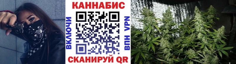 Бошки Шишки OG Kush  Купить закладки  Сясьстрой 